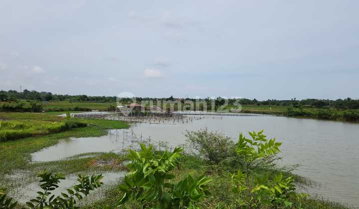 Dijual Cepat Lahan Kawasan Desa Kemiri Tangerang Dijual Cepat Lahan Kawasan Desa Kemiri Tangerang