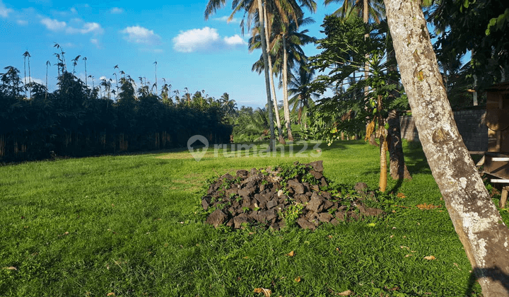 LAHAN KAWASAN UBUD GIANYAR BALI LOKASI MENARIK 1