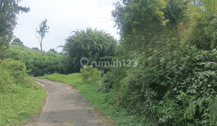 TANAH DIKAWASAN PEGUNUNGAN DI CIJULANG COCOK BANGUN VILLA 2