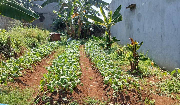 LAHAN KAWASAN BOGOR TENGAH LOKASI STRATEGIS COCOK UNTUK KOSKOSAN 2