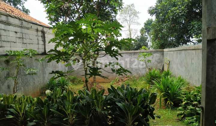 Dijual Cepat Rumah Warujaya Parung Area Strategis Pinggir Jalan Dijual Cepat Rumah Warujaya Parung Area Strategis Pinggir Jalan