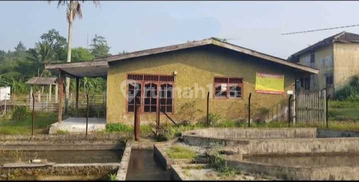 Dijual Murah dan Cepat Kolam Ikan, Sawah dan Tanah Kosong