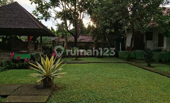 Villa Hijau di Cisarua dengan View Pemandangan Indah