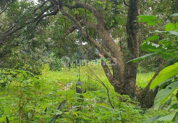 Lahan Di Cibinong Cocok Untuk Tempat Tinggal Atau Tempat Usaha 2