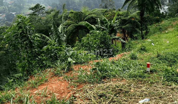 Tanah Kosong Kawasan Megamendung Bogor Lokasi Menarik 2