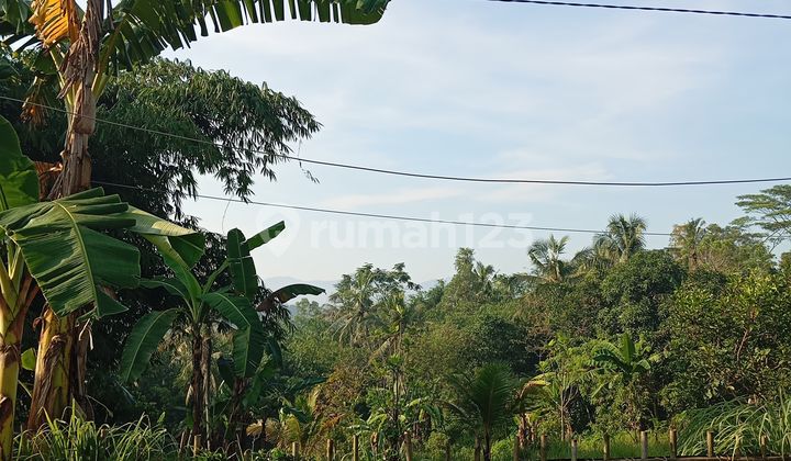 DIJUAL CEPAT TANAH PINGGIR JALAN RAYA AREA BOJONGMANGU BEKASI