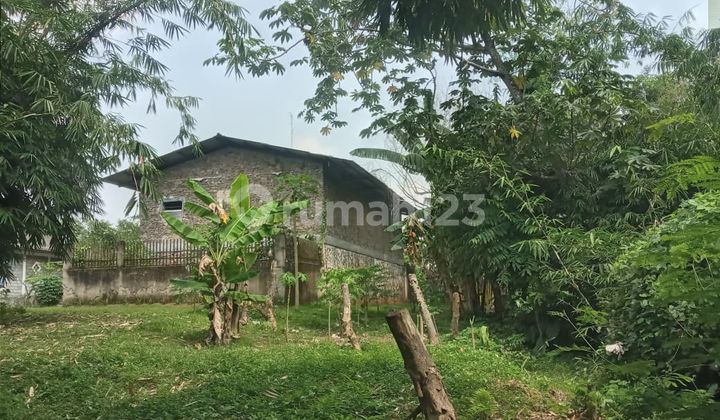 Land for Sale with Free Swiftlet Nest House in BSD, South Tangerang.