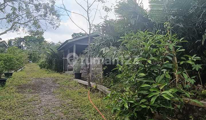 Dijual Lahan Lokasi Strategis Kawasan Turi Kabupaten Sleman