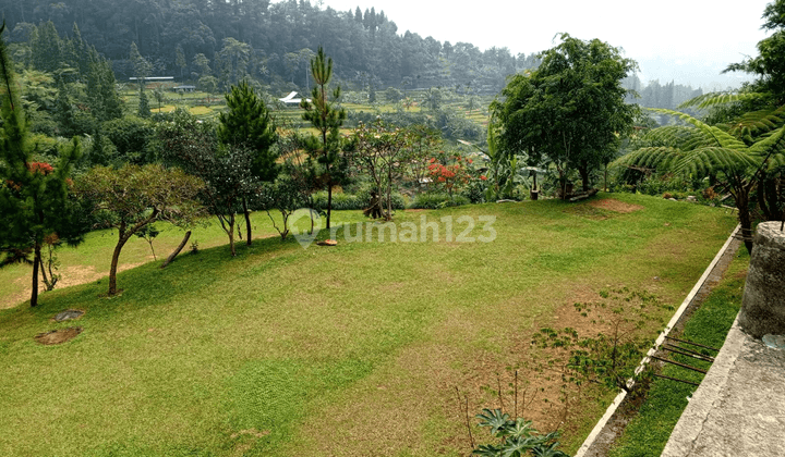 Lahan Kawasan Megamendung Dengan Pemandangan Indah 1