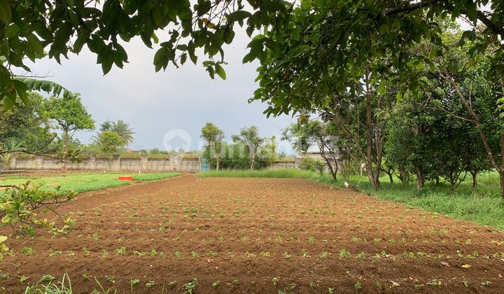 DIJUAL CEPAT LAHAN PERTANIAN DI CIMANGGU CIBUNGBULANG BOGOR