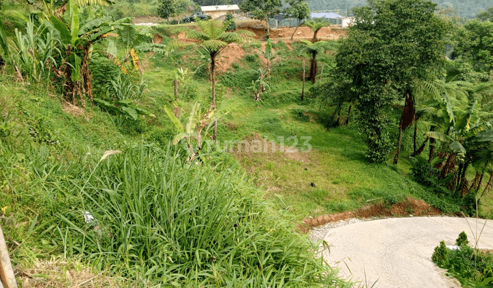 Tanah Kosong Kawasan Megamendung Bogor Lokasi Menarik 1