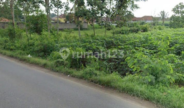 Tanah Premium di Gunung Sugih, Lampung Tengah Tanah Premium di Gunung Sugih, Lampung Tengah