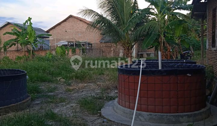 Tanah 900 M2 Bonus Kolam Ikan (Pembibitan) dan Rumah di Rajabasa Bandar Lampung