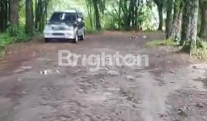TANAH 6HA TANJUNG SELAMAT SUNGGAL DELI SERDANG Medan Sumatera Utara nego 1