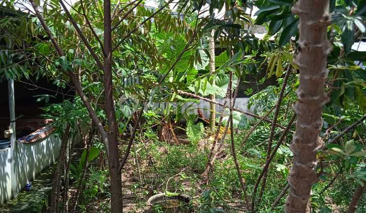 Ruko (with Backyard Suitable for Culinary Business) in Tanjung Senang, Bandar Lampung 2