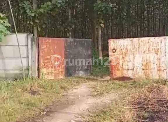 Tanah Premium Kebun Jati 20 Ha di Lematang, Lampung Selatan