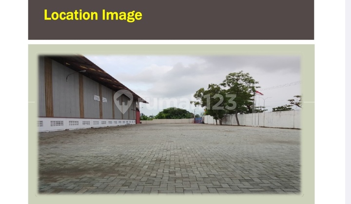 3.3 Hectare Factory Warehouse Pantura Highway Marga Jaya Hamlet Ciasem Subang Quick Sale West Java 3.3 Hectare Factory Warehouse Pantura Highway Marga Jaya Hamlet Ciasem Subang Quick Sale West Java