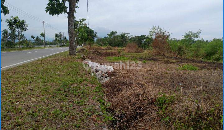 Tepi Jalan Raya Blabak Boyolali, Kavling Murah Sawangan Magelang 1