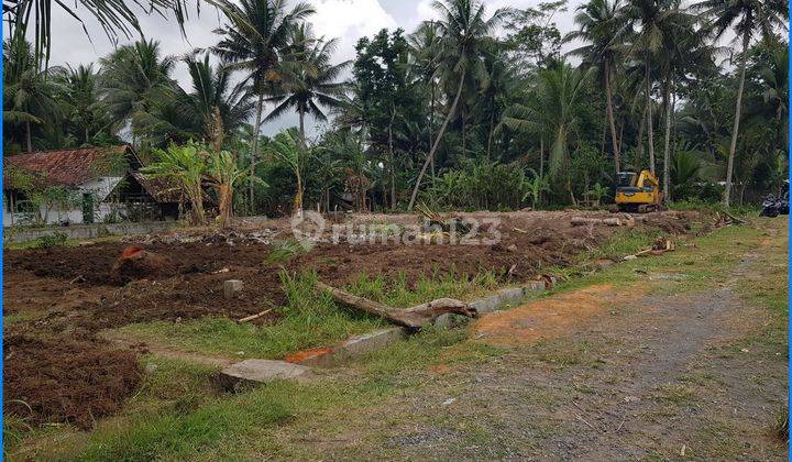 Tanah Murah Temon Kulon Progo Dekat Bandara Jogja Yia 1