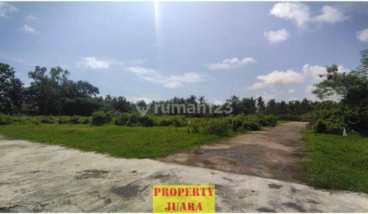 Tanah Dijual Purworejo, Lokasi Strategis Dekat Bandara Yia Jogja 2