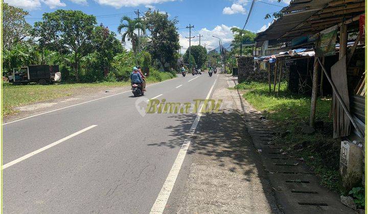 Dijual Tanah Usaha di Bakungan Tepi Jalan Aspal Dekat Jogja Bay 2