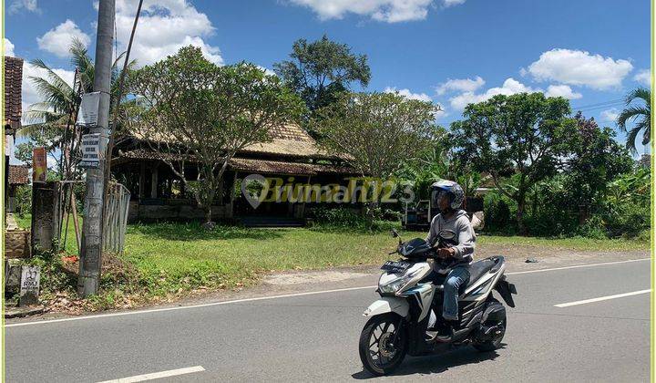 Dijual Tanah Usaha di Bakungan Tepi Jalan Aspal Dekat Jogja Bay 5
