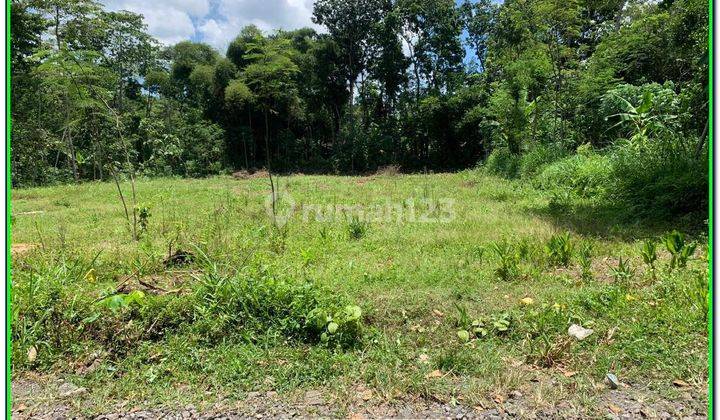Tanah Murah Klaten Terima SHM P Dekat Jl Manisrenggo  2