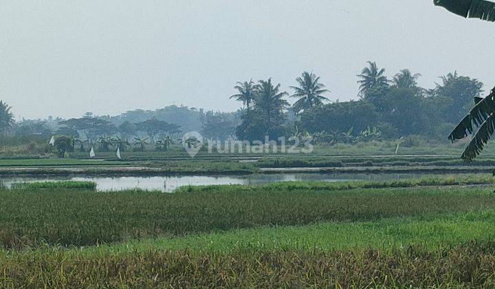 Dijual Tanah Sawah di Kronjo Kemiri Mekar Baru, Tangerang 1