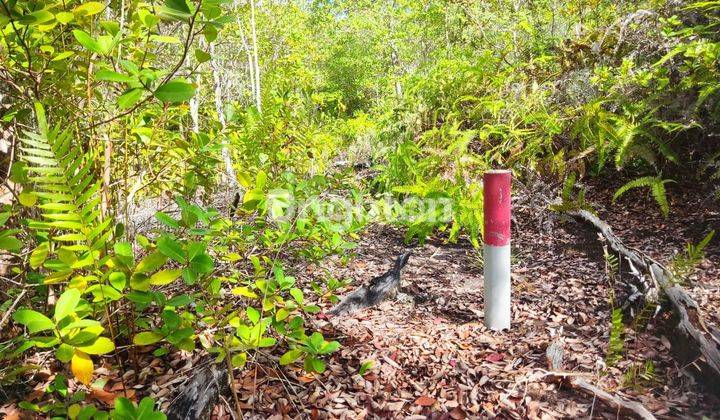 TANAH LOKASI DEKAT BANDARA LETUNG ANAMBAS 1