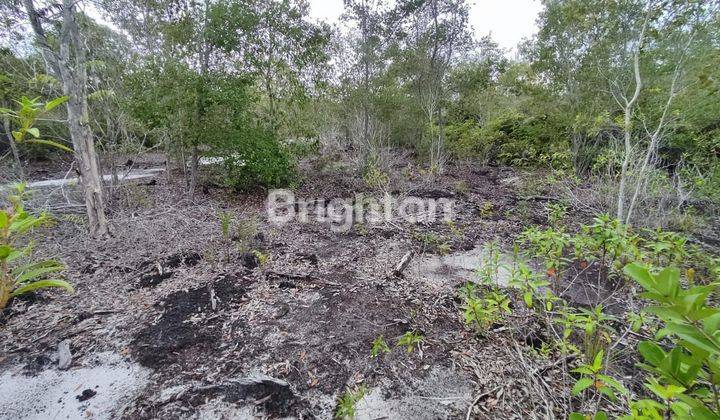 TANAH LOKASI DEKAT BANDARA LETUNG ANAMBAS 2