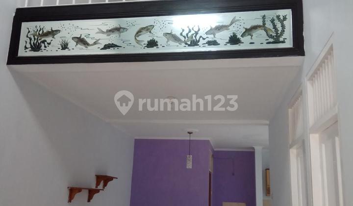 Rapi House, 3 Rooms for Rent in Coyra Garden 3 1