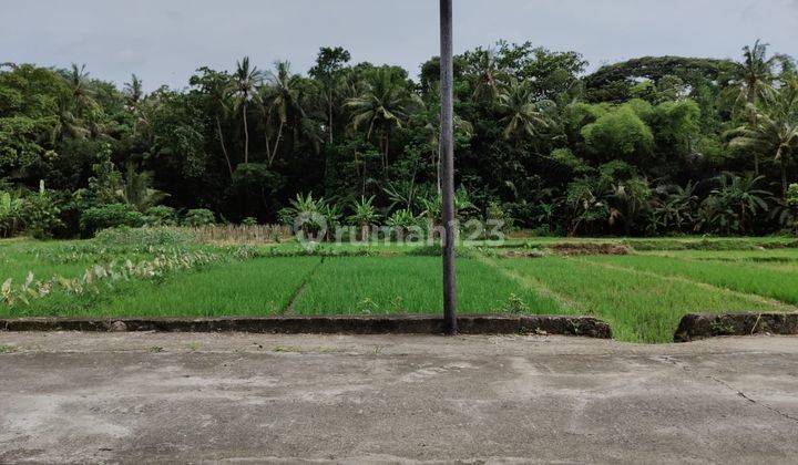 Sawah Murah View Bukit Menoreh Di Minggir Sleman 1