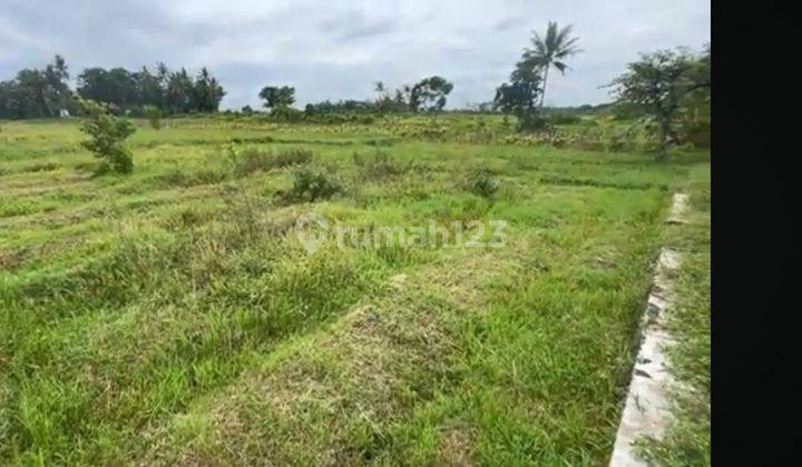 Tanah Shm Sawah Belakang Puskesmas Minggir 1