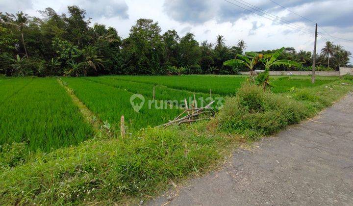 Sawah Murah View Bukit Menoreh Di Minggir Sleman 2