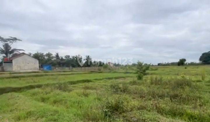 Tanah Shm Sawah Belakang Puskesmas Minggir 2