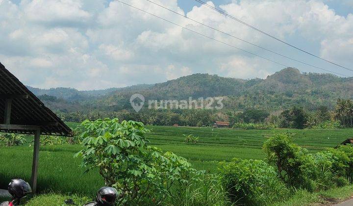 Tanah View Sawah Teras Siring Dan Bukit Menoreh 1