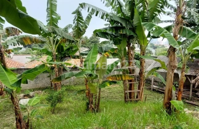 Tanah Strategis Pinggir Jalan Raya Di Jati Padang Tanah Strategis Pinggir Jalan Raya Di Jati Padang