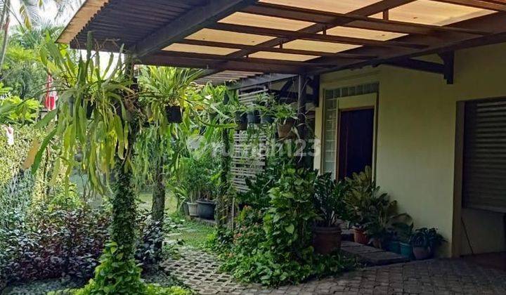 Rumah Asri Siap Huni di Bintaro 2