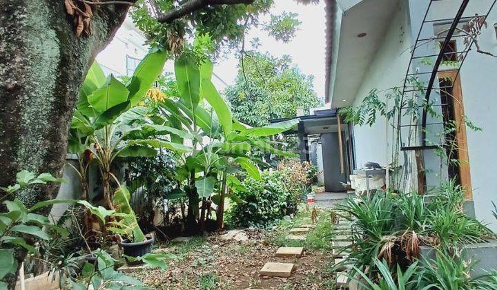 Rumah Bagus Dan Asri Di Cipete 2