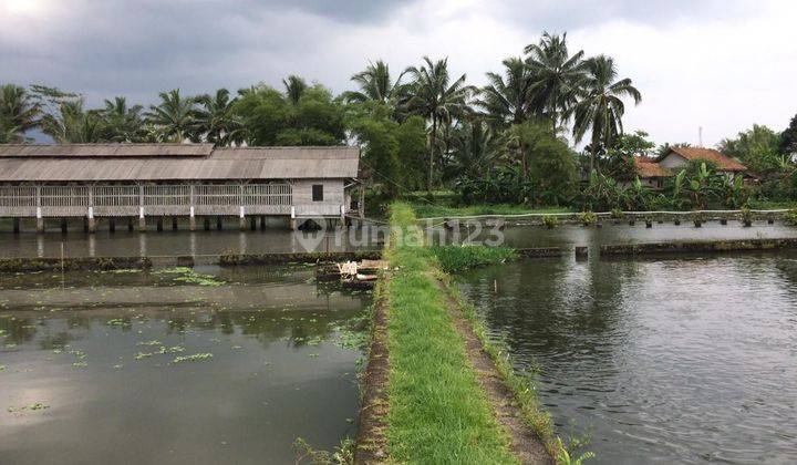 Dijual Tanah di Leuwisari Tasikmalaya 1