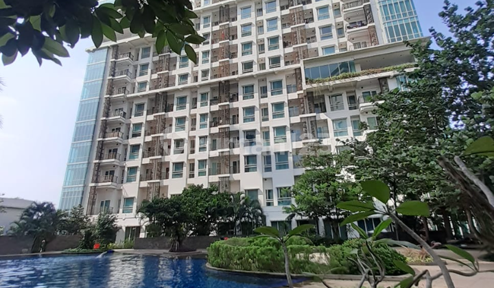 Apartemen Woodland Park Kalibata Lingkungan Hijau Teduh Bersih  2