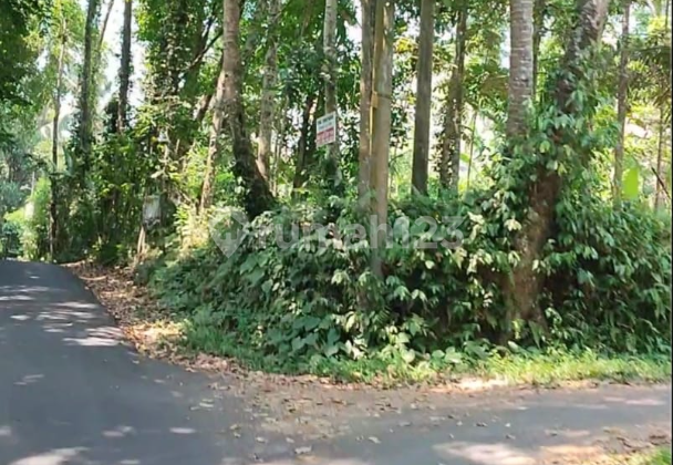Land in Kelusa Payangan Ubud