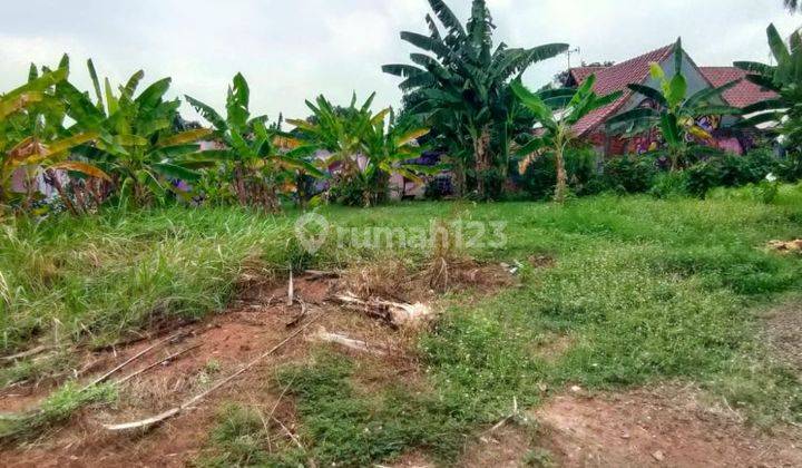 Rumah Asri Di Cinere 2