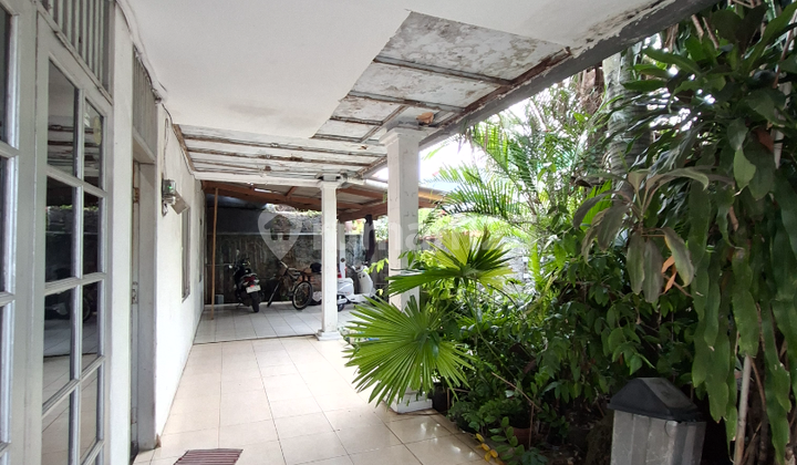 Rumah Lama Hitung Tanah di Cilandak Belakang Citps Rumah Lama Hitung Tanah di Cilandak Belakang Citps