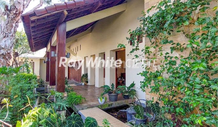 Rumah Cozy Tropical Eclectic Style di Kawasan Premium Cipete Jaksel Rumah Cozy Tropical Eclectic Style di Kawasan Premium Cipete Jaksel