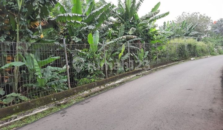 Empty land ready to build, roadside location.