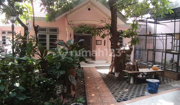 For Sale Well-Maintained Old House in Palmerah West Jakarta 2