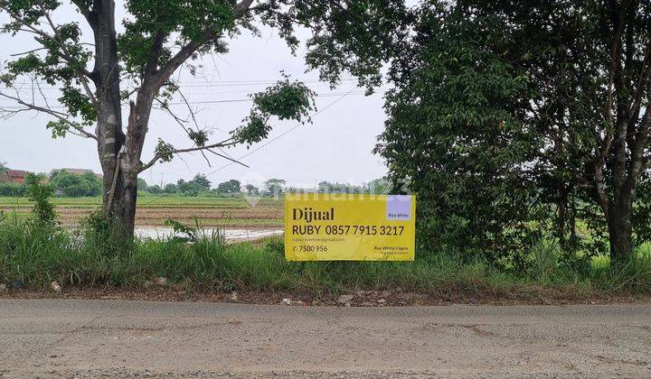 Tanah Luas di Cibarusah Bekasi 2