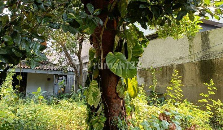 Rumah tua Hitung Tanah di Kebon Nanas Permata Hijau Jakarta Selatan
 2