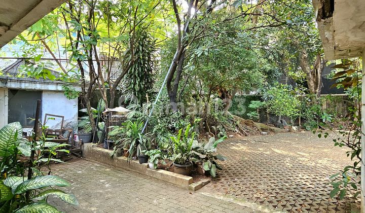 Rumah Murah Hitung Tanah Harga Dibawah NJOP di Tendean Mampang Prapatan Rumah Murah Hitung Tanah Harga Dibawah NJOP di Tendean Mampang Prapatan